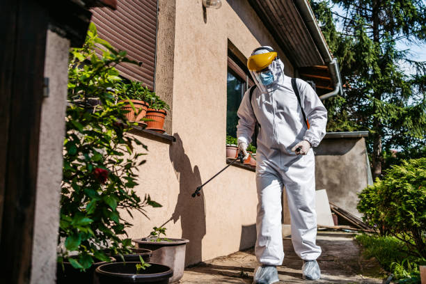 Best Rodent Control Near Me  in Leland Grove, IL