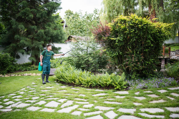 Best Emergency Pest Control  in Leland Grove, IL