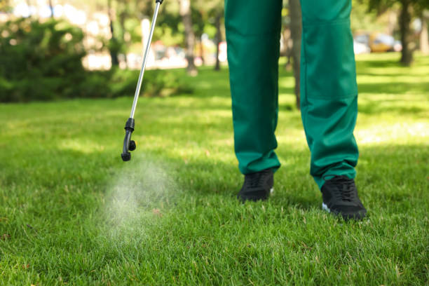 Best Cockroach Control Services  in Leland Grove, IL