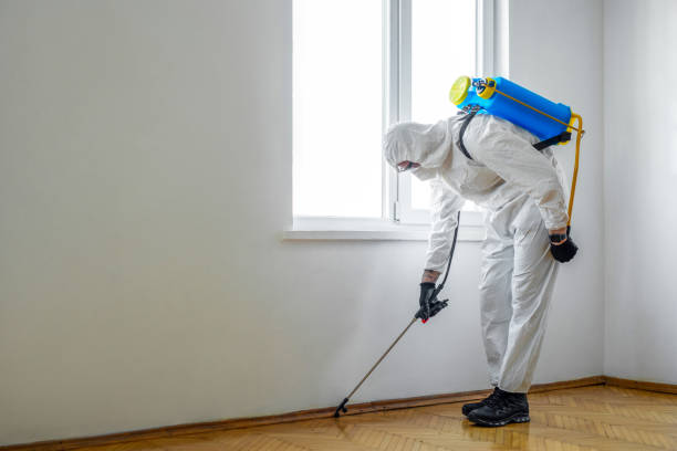 Best Commercial Pest Control Services  in Leland Grove, IL