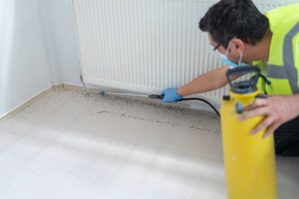 Best Bed Bug Extermination  in Leland Grove, IL